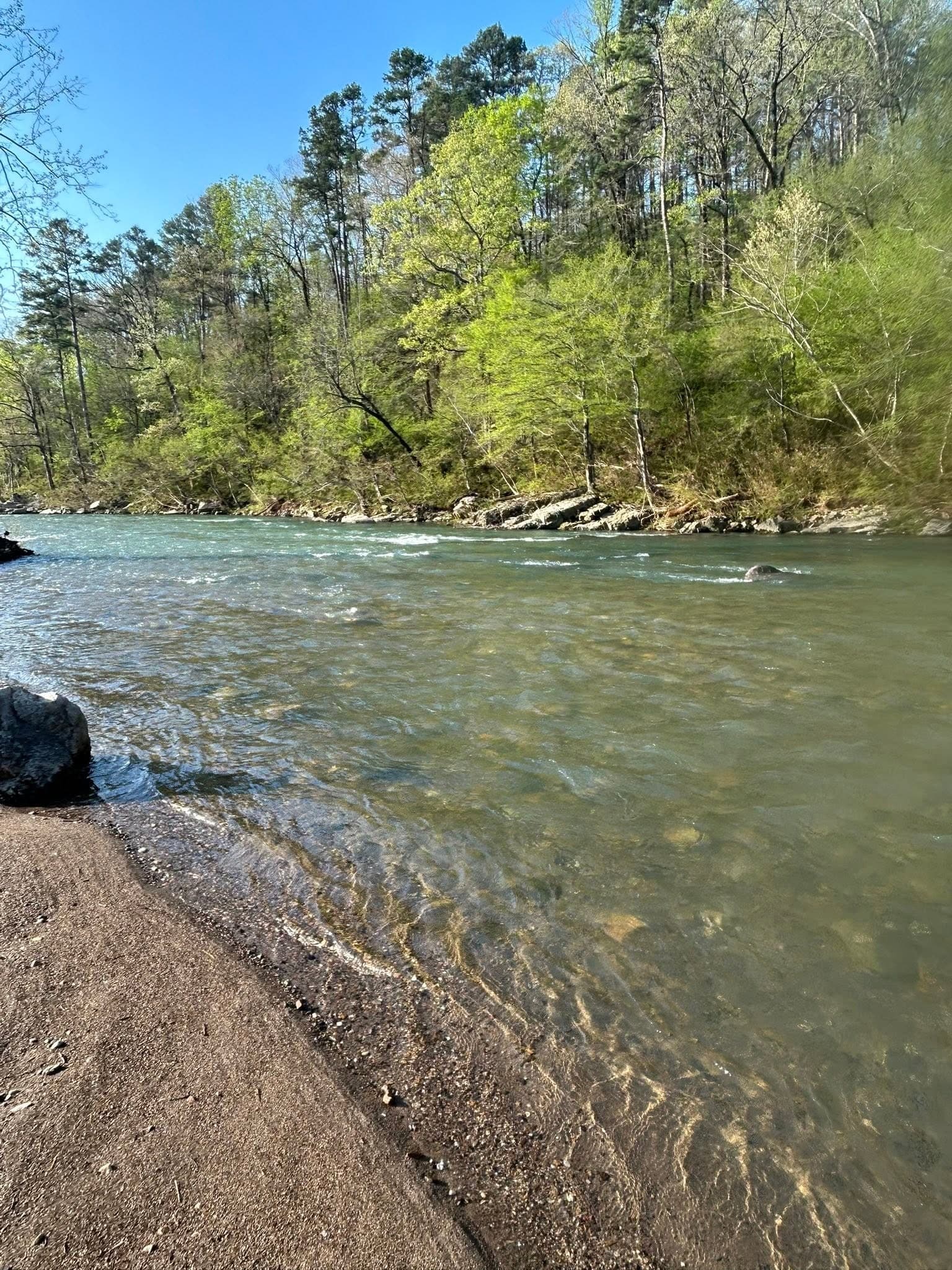 Clear water and wooded shoreline on the Caddo River